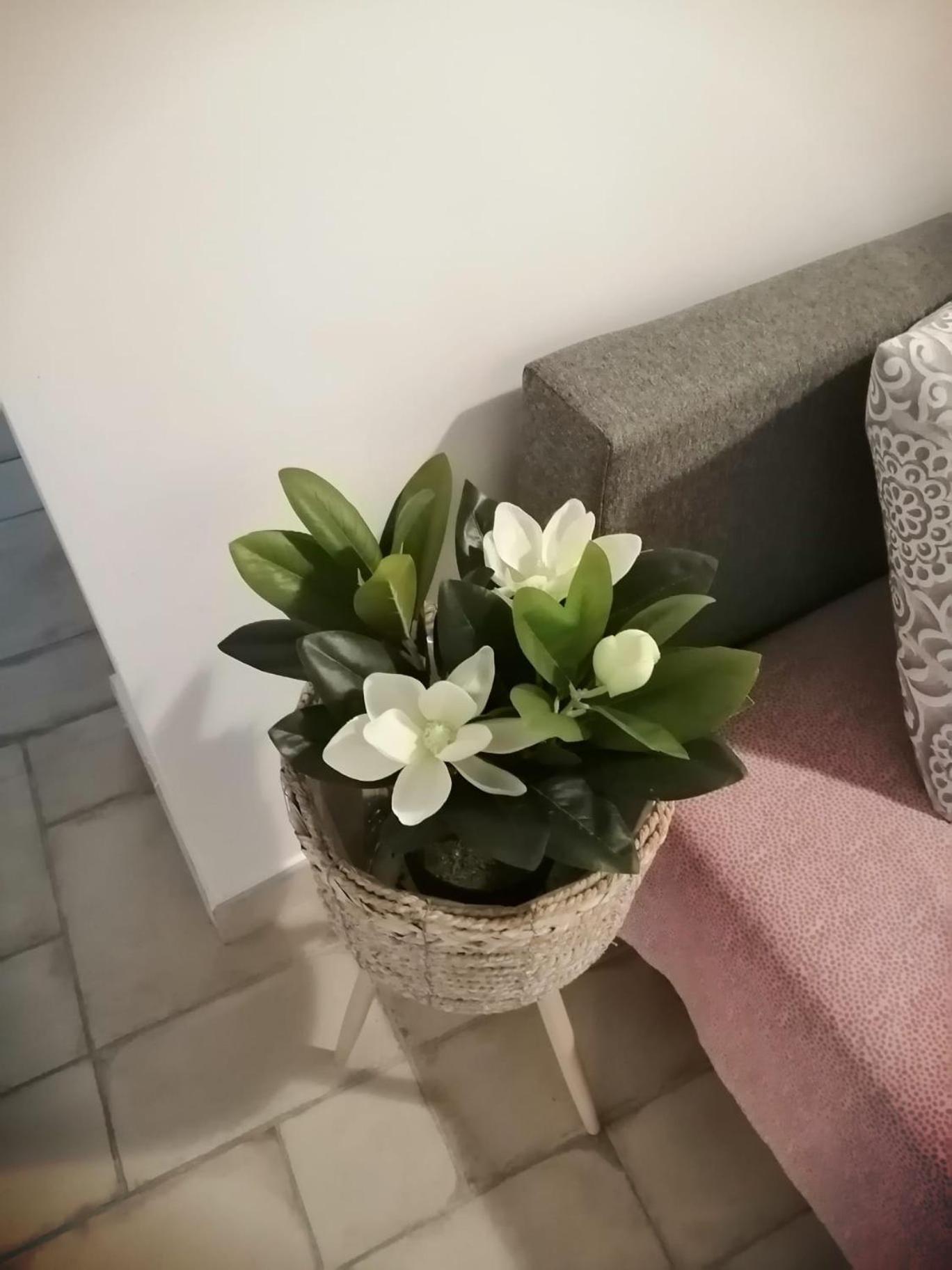Ferienwohnung Il Vicoletto Sul Castello Neapel Exterior foto